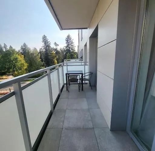 Apartament Duzy W Centrum - 3 - Garaz