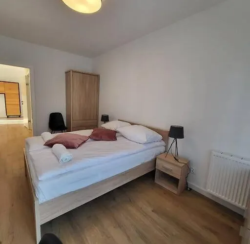 Duzy W Centrum - 3 - Garaz *